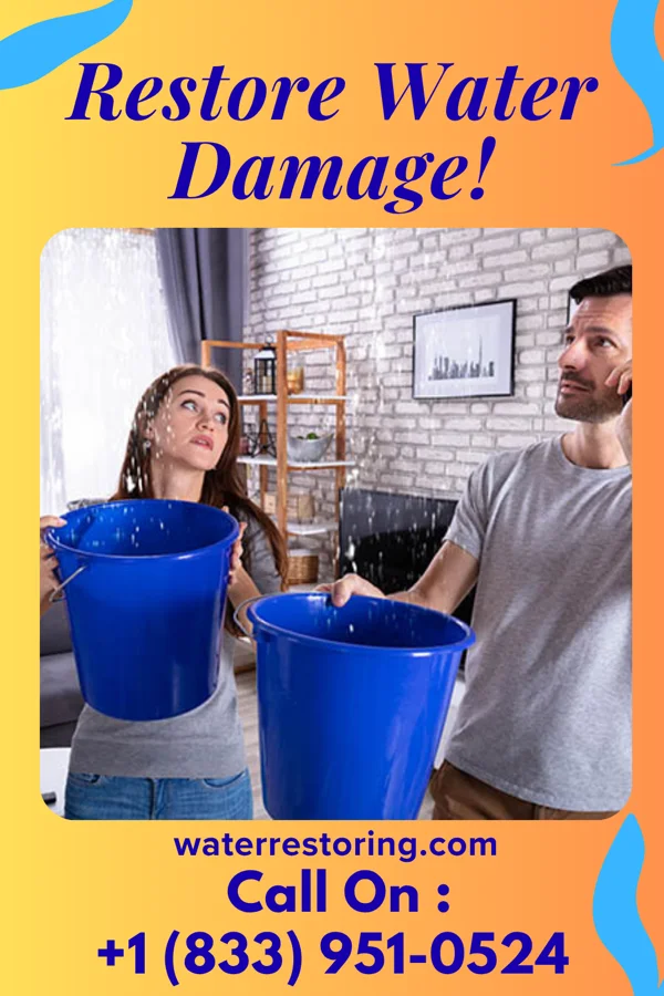 water restoration Best Recovery Force Genesee