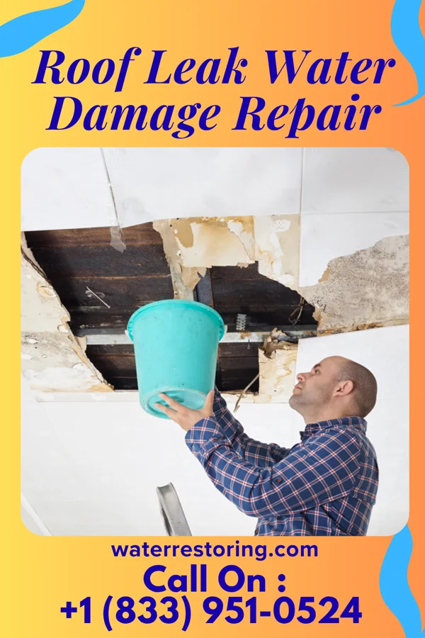 Roof Leak Water Damage Repair in Genesee, CO